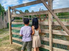 -安德鲁户外烧烤帐篷营地(马泉营店)