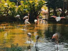 -九龙公园