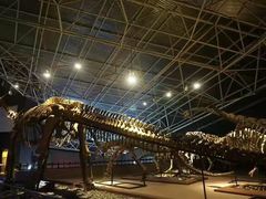 -世界恐龙谷景区