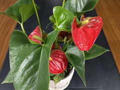 -卯火锅(人和协信店)