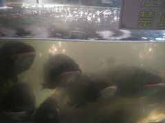 -坛宗剁椒鱼头(河西王府井店)