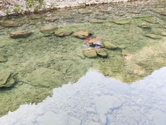 -宁波五龙潭景区