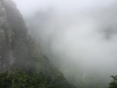 -牛背梁国家森林公园