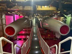 -泰达航母主题公园