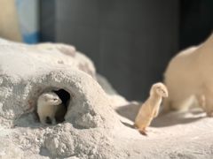 -浙江自然博物院(杭州馆)