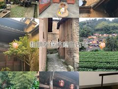 -杨家堂村