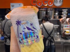 -CoCo都可(嘉定大融城店)