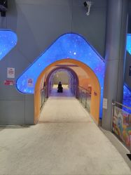 -第五极儿童乐园