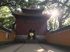 -普陀山风景名胜区-法雨禅寺