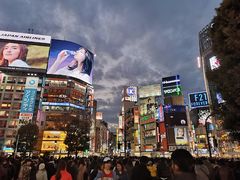 -涩谷区