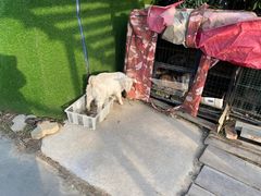 -小鱼草莓采摘园农家乐·小鱼餐厅
