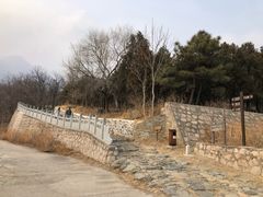 -阳台山自然风景区