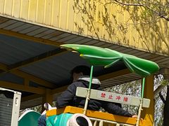 -朝阳公园游乐园