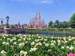 -上海迪士尼度假区