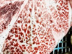 -千寻山野烤肉(中关村店)