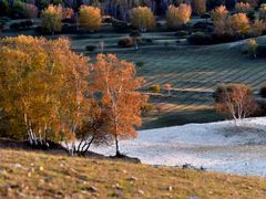 -塞罕坝国家级自然保护区