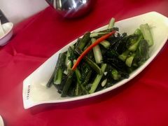 菜苔-田园小观园(武大店)