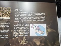 -安徽省地质博物馆