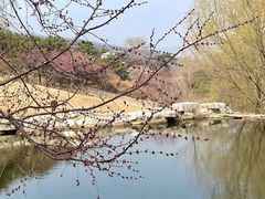 -北京西山国家森林公园