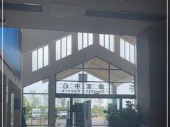 -盐城丹顶鹤湿地生态旅游区