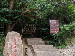 -紫金山山顶公园