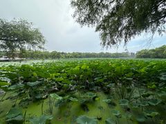 -长春市南湖公园