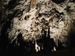 -波斯托伊纳溶洞