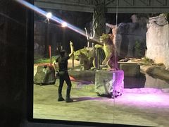 -清迈夜间动物园