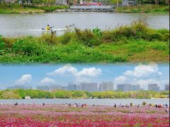 -海珠湖公园