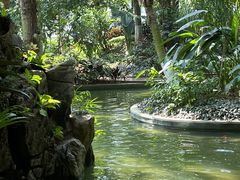 -禹州森林植物园