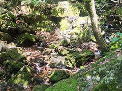 -本溪汤沟绿石谷森林公园