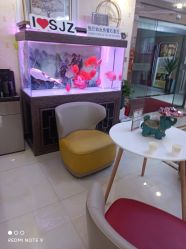 -安院长·产后恢复·徒手骨盆(先天下店)