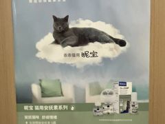 -米苏动物医院·犬猫专科·骨科外科内窥镜