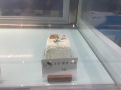 -UP阿噗甜品