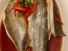 明火鲈鱼-绿茶餐厅(崇文门新世界店)