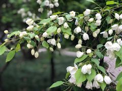-陕西师范大学(雁塔校区)