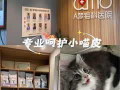 -御宝贝·A梦猫科宠物医院(国际猫友好医院)