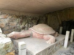 -上海佘山国家森林公园天马山园