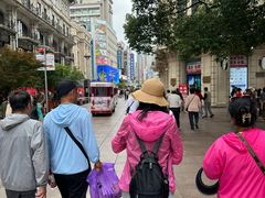 -沈大成(南京东路店)