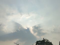 -大塘金香草谷