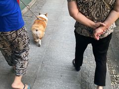 -汪保来(杭州解放路店)