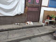 -熊猫一间店欧式奶茶铺