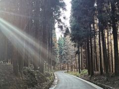 -山王坪喀斯特国家生态公园