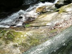 -燕子河大峡谷天坑仙境