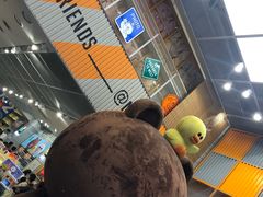 -line friends(明洞旗舰店)