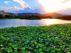 -江南大学(蠡湖校区)