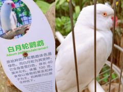 -南宫五洲植物乐园