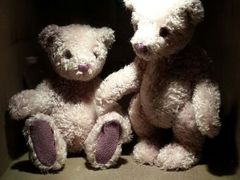 android_upload_pic-济州岛泰迪熊博物馆