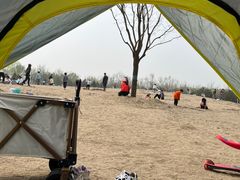 -东郊湿地公园