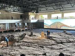 -自贡恐龙博物馆